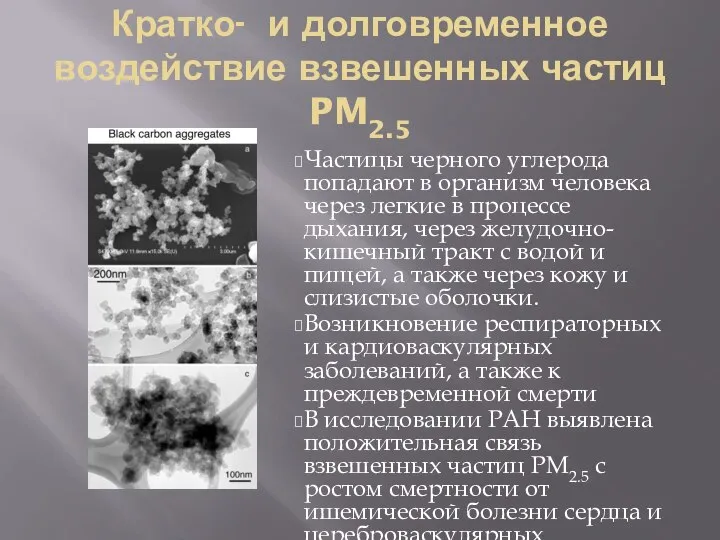 Кратко- и долговременное воздействие взвешенных частиц PM2.5 Частицы черного углерода попадают