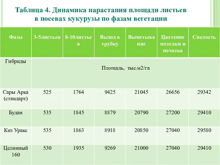 Таблица 4. Динамика нарастания площади листьев в посевах кукурузы по фазам вегетации