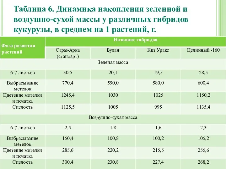 Таблица 6. Динамика накопления зеленной и воздушно-сухой массы у различных гибридов