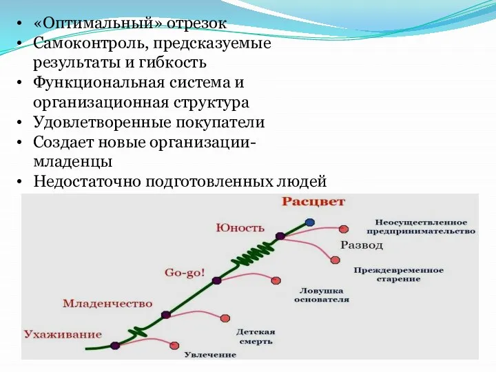 «Оптимальный» отрезок Самоконтроль, предсказуемые результаты и гибкость Функциональная система и организационная