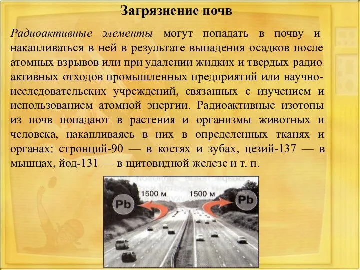 Радиоактивные элементы могут попадать в почву и накапливаться в ней в