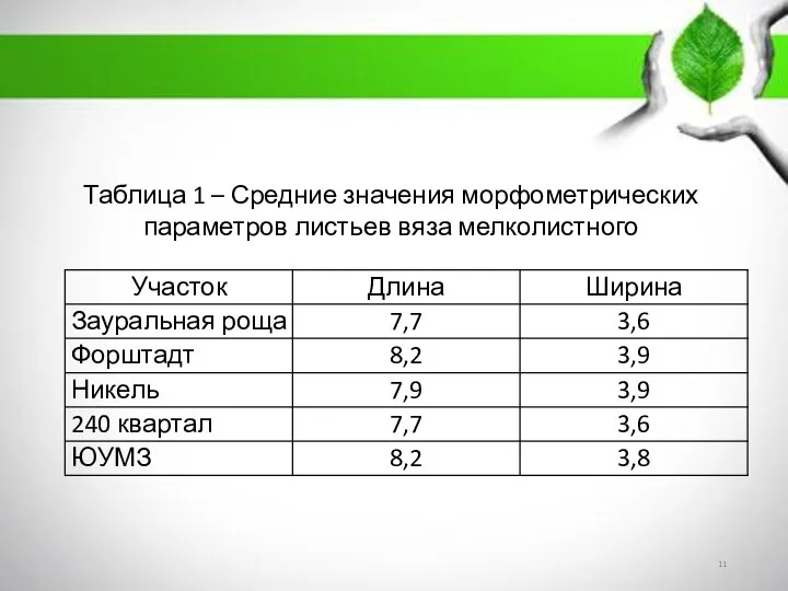 Таблица 1 – Средние значения морфометрических параметров листьев вяза мелколистного