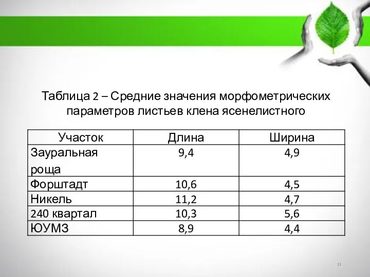 Таблица 2 – Средние значения морфометрических параметров листьев клена ясенелистного