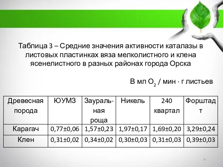 Таблица 3 – Средние значения активности каталазы в листовых пластинках вяза