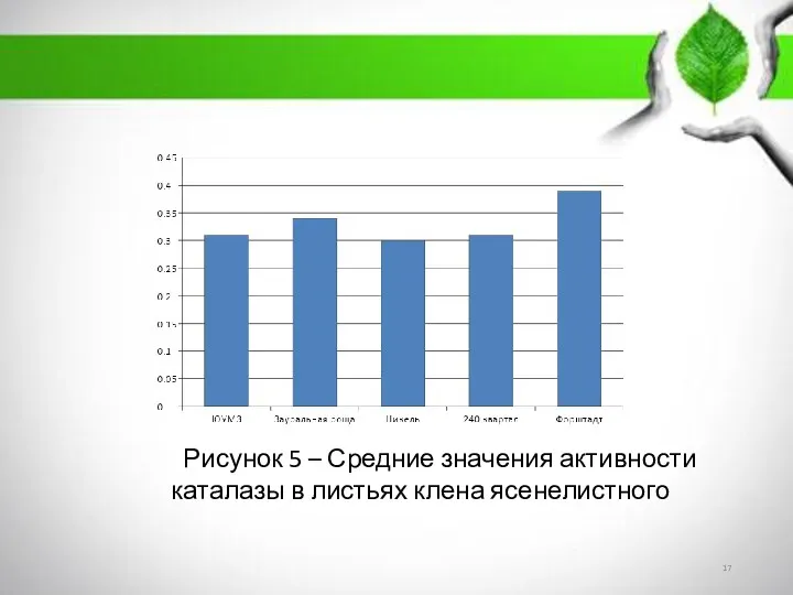 Рисунок 5 – Средние значения активности каталазы в листьях клена ясенелистного