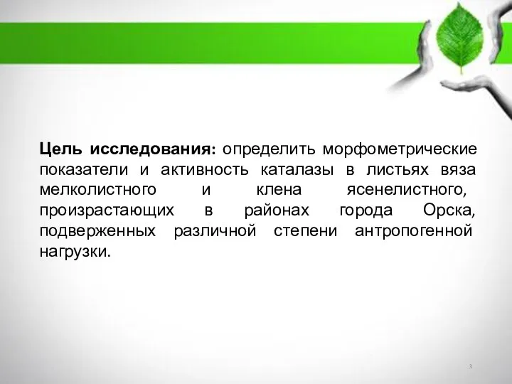 Цель исследования: определить морфометрические показатели и активность каталазы в листьях вяза