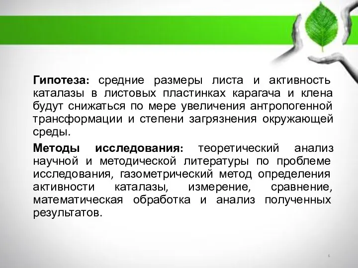 Гипотеза: средние размеры листа и активность каталазы в листовых пластинках карагача