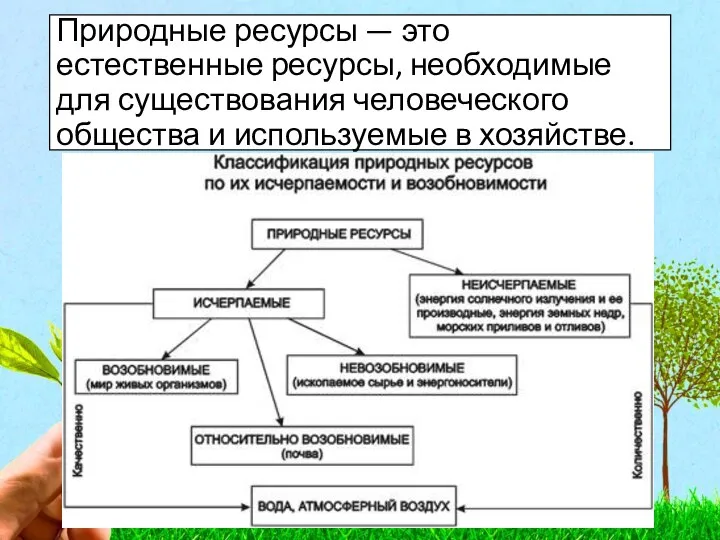 Природные ресурсы — это естественные ресурсы, необходимые для существования человеческого общества и используемые в хозяйстве.