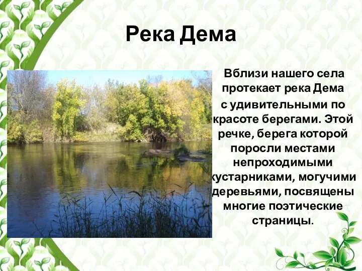 Река Дема Вблизи нашего села протекает река Дема с удивительными по