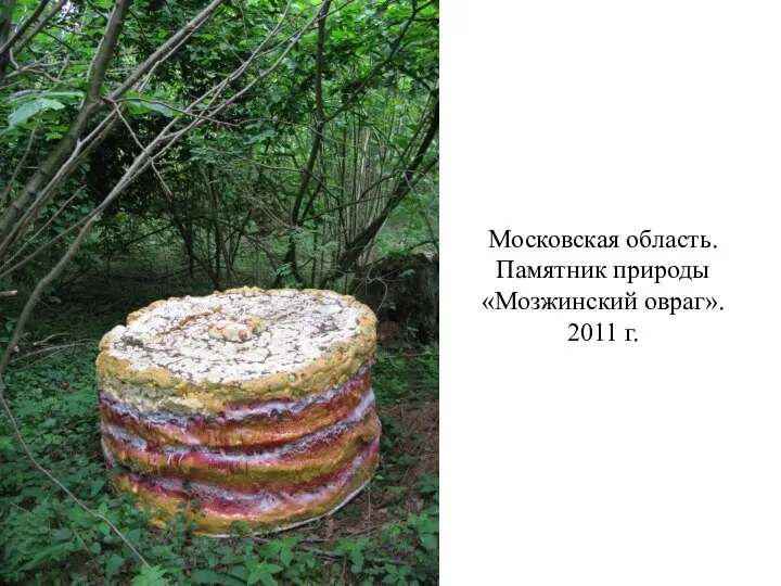 Московская область. Памятник природы «Мозжинский овраг». 2011 г.