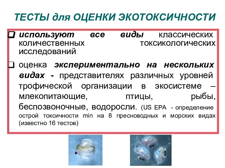 ТЕСТЫ для ОЦЕНКИ ЭКОТОКСИЧНОСТИ используют все виды классических количественных токсикологических исследований