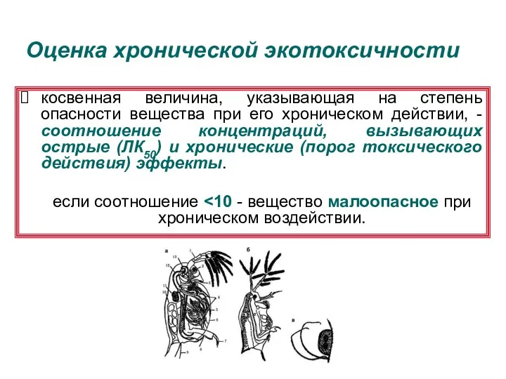 Оценка хронической экотоксичности косвенная величина, указывающая на степень опасности вещества при