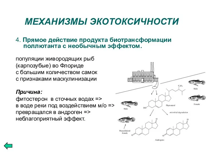 МЕХАНИЗМЫ ЭКОТОКСИЧНОСТИ 4. Прямое действие продукта биотрансформации поллютанта с необычным эффектом.