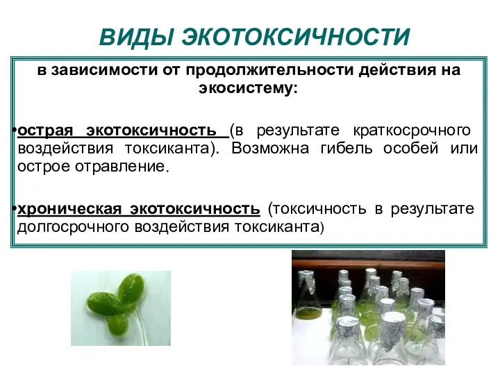 ВИДЫ ЭКОТОКСИЧНОСТИ в зависимости от продолжительности действия на экосистему: острая экотоксичность