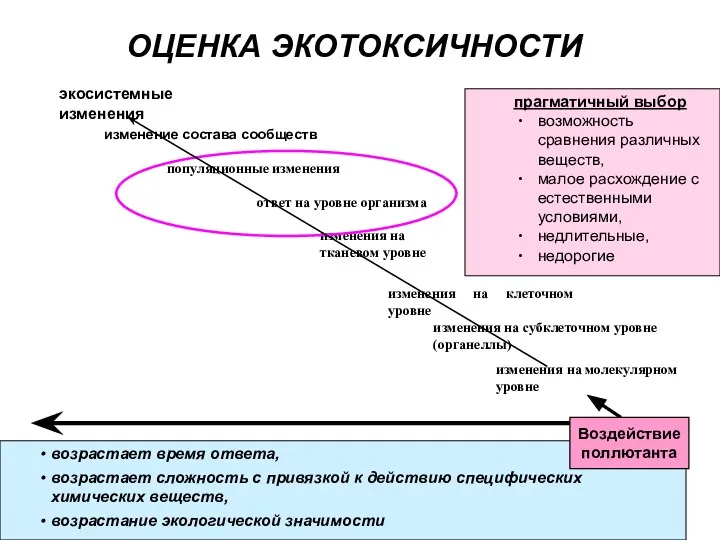 ОЦЕНКА ЭКОТОКСИЧНОСТИ возрастает время ответа, возрастает сложность с привязкой к действию