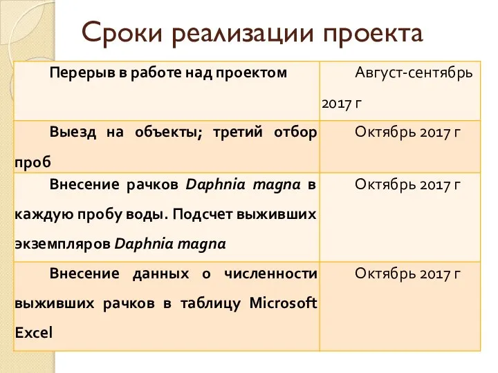 Сроки реализации проекта