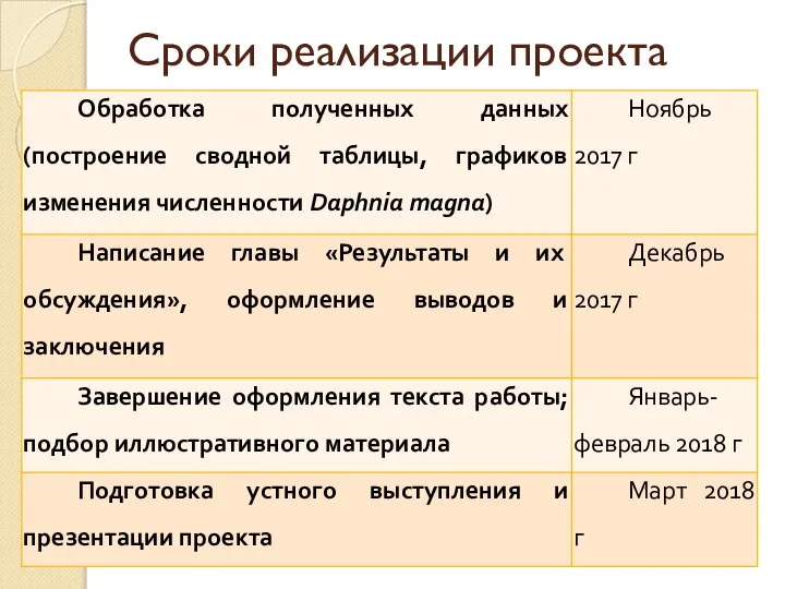 Сроки реализации проекта