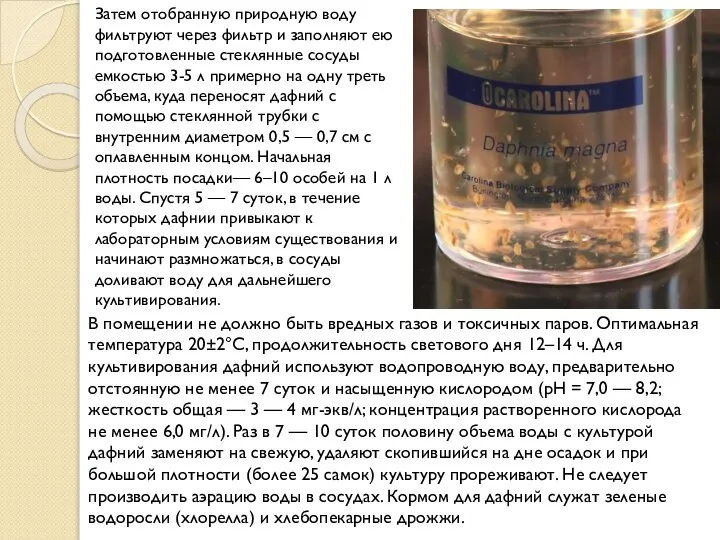 Затем отобранную природную воду фильтруют через фильтр и заполняют ею подготовленные