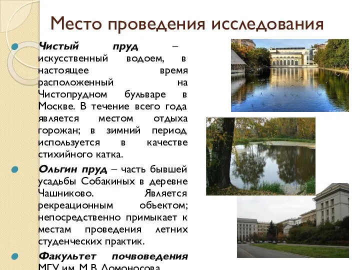 Место проведения исследования Чистый пруд – искусственный водоем, в настоящее время