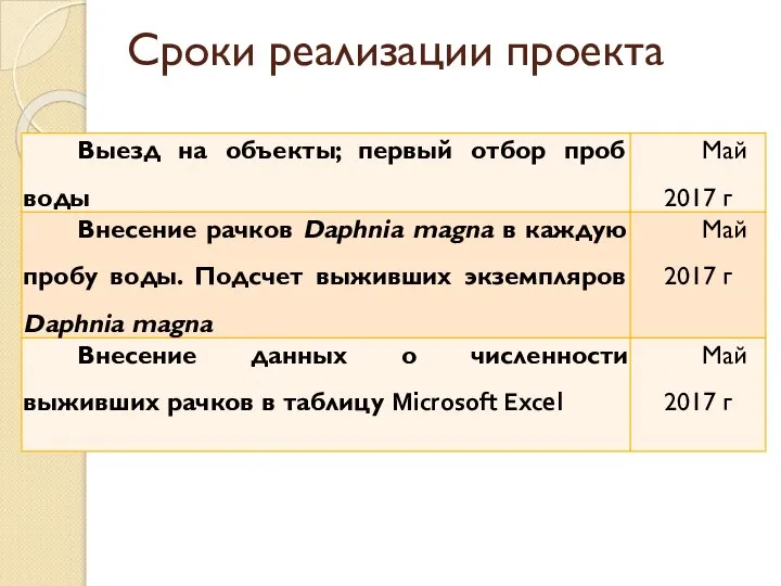 Сроки реализации проекта