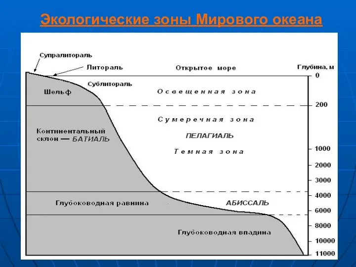 Экологические зоны Мирового океана