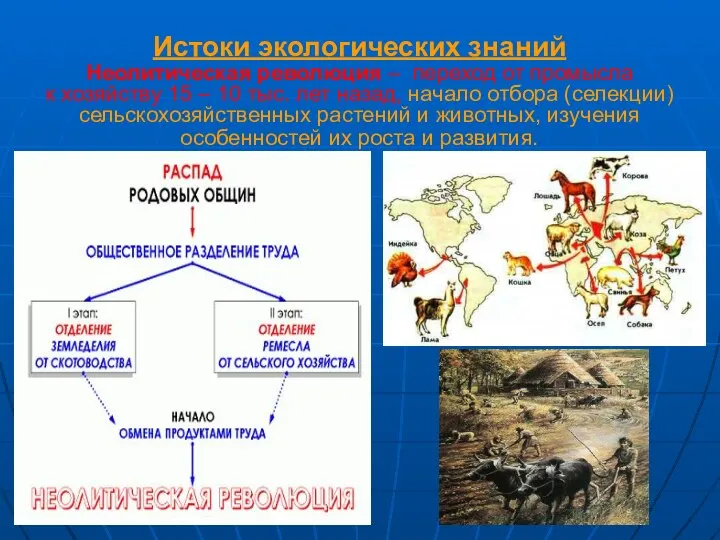 Истоки экологических знаний Неолитическая революция – переход от промысла к хозяйству