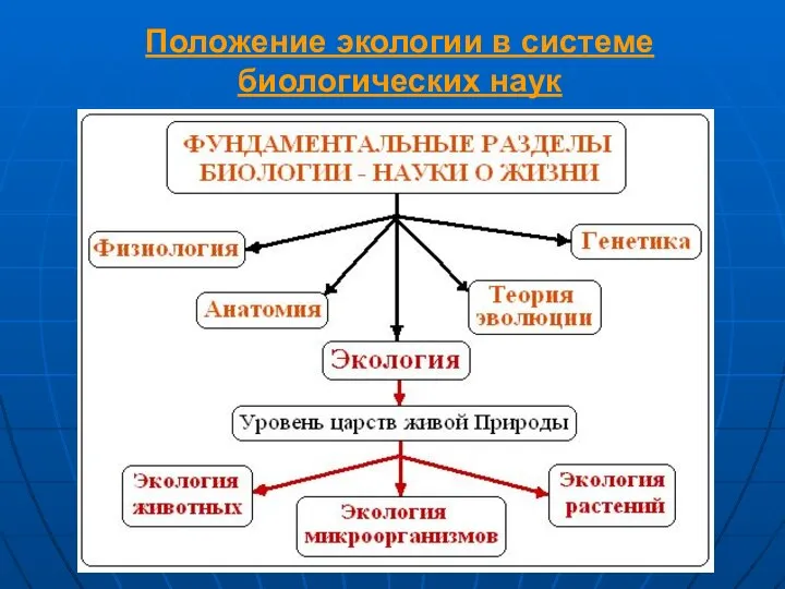 Положение экологии в системе биологических наук