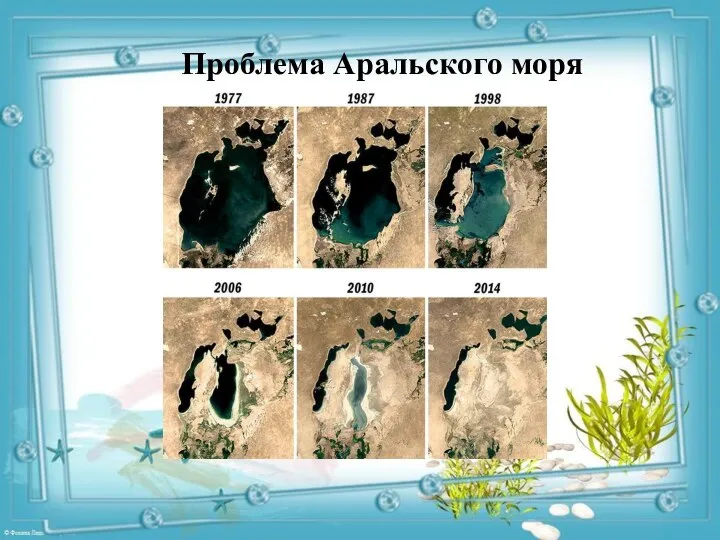 Проблема Аральского моря