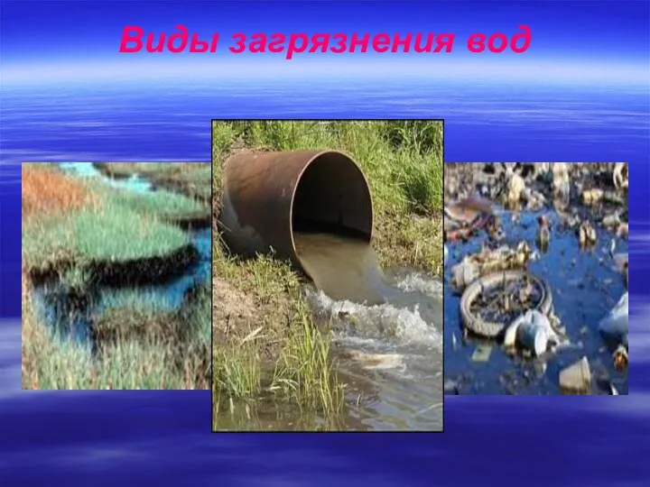 Виды загрязнения вод