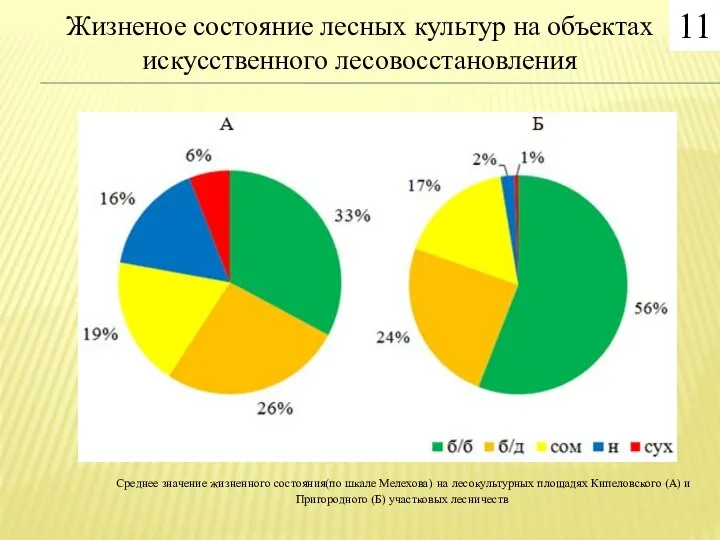 Жизненое состояние лесных культур на объектах искусственного лесовосстановления Среднее значение жизненного