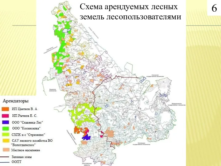 Схема арендуемых лесных земель лесопользователями 6