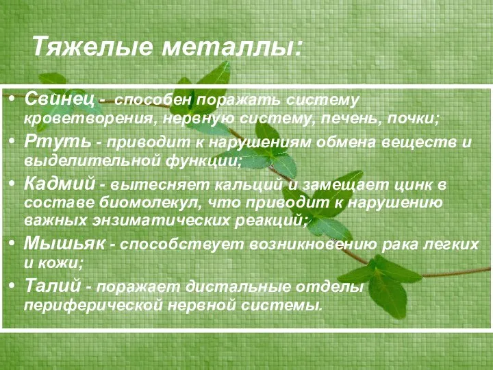 Тяжелые металлы: Свинец - способен поражать систему кроветворения, нервную систему, печень,