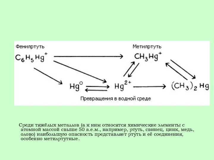 Среди тяжёлых металлов (а к ним относятся химические элементы с атомной