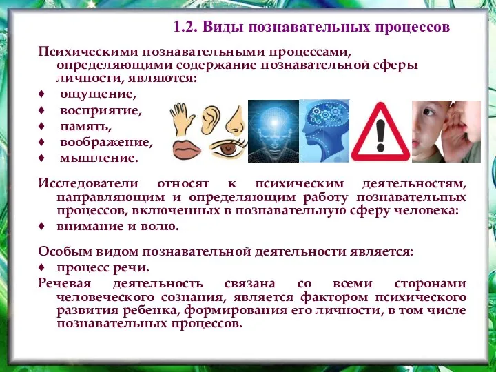 Психическими познавательными процессами, определяющими содержание познавательной сферы личности, являются: ощущение, восприятие,