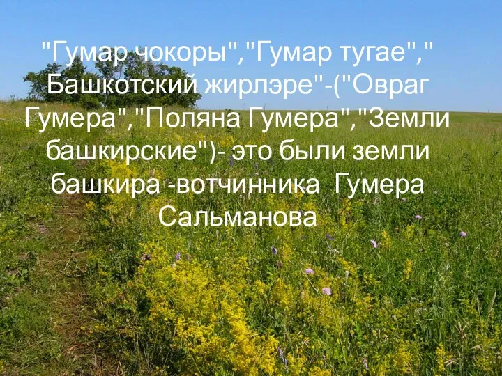 "Гумар чокоры","Гумар тугае","Башкотский жирлэре"-("Овраг Гумера","Поляна Гумера","Земли башкирские")- это были земли башкира -вотчинника Гумера Сальманова