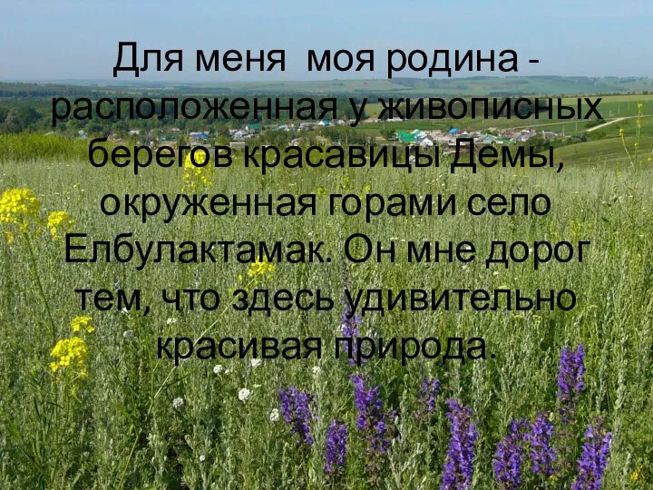 Для меня моя родина - расположенная у живописных берегов красавицы Демы,