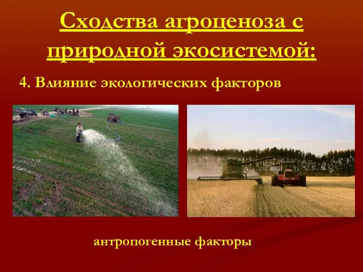 Сходства агроценоза с природной экосистемой: 4. Влияние экологических факторов антропогенные факторы