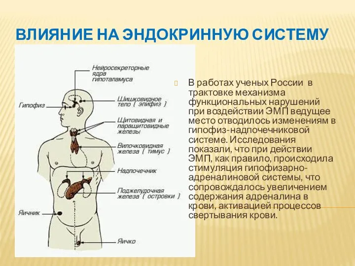 ВЛИЯНИЕ НА ЭНДОКРИННУЮ СИСТЕМУ В работах ученых России в трактовке механизма