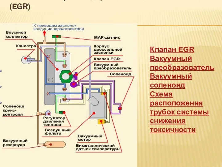 СИСТЕМА РЕЦИРКУЛЯЦИИ ОТРАБОТАВШИХ ГАЗОВ (EGR) Клапан EGR Вакуумный преобразователь Вакуумный соленоид