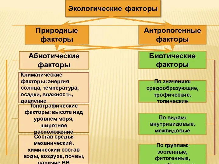 Экологические факторы Природные факторы Антропогенные факторы Абиотические факторы Биотические факторы Климатические