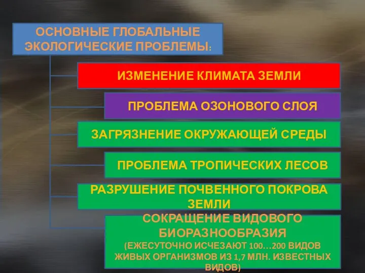 ОСНОВНЫЕ ГЛОБАЛЬНЫЕ ЭКОЛОГИЧЕСКИЕ ПРОБЛЕМЫ: ИЗМЕНЕНИЕ КЛИМАТА ЗЕМЛИ ПРОБЛЕМА ТРОПИЧЕСКИХ ЛЕСОВ СОКРАЩЕНИЕ