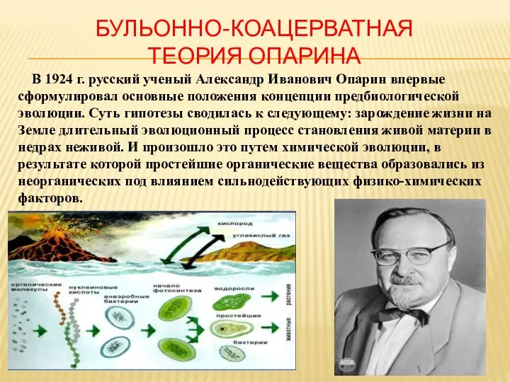 БУЛЬОННО-КОАЦЕРВАТНАЯ ТЕОРИЯ ОПАРИНА В 1924 г. русский ученый Александр Иванович Опарин