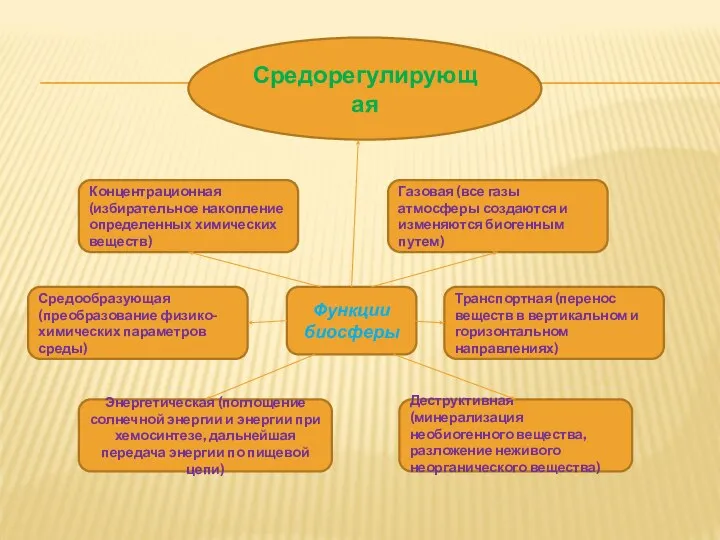 Функции биосферы Энергетическая (поглощение солнечной энергии и энергии при хемосинтезе, дальнейшая