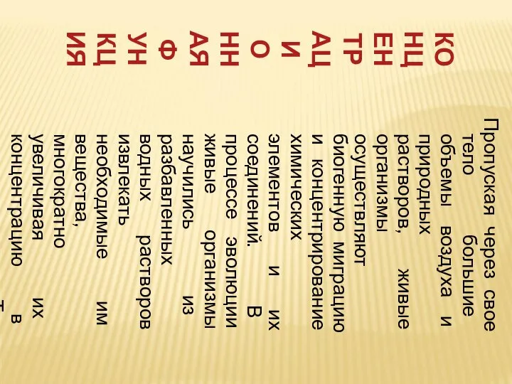 КОНЦЕНТРАЦИОННАЯ ФУНКЦИЯ Пропуская через свое тело большие объемы воздуха и природных