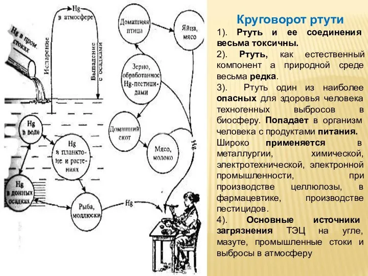 Круговорот ртути 1). Ртуть и ее соединения весьма токсичны. 2). Ртуть,