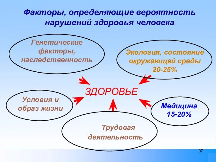 ЗДОРОВЬЕ Генетические факторы, наследственность Трудовая деятельность Медицина 15-20% Факторы, определяющие вероятность нарушений здоровья человека