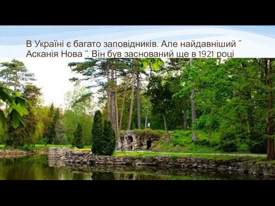 В Україні є багато заповідників. Але найдавніший ” Асканія Нова “.