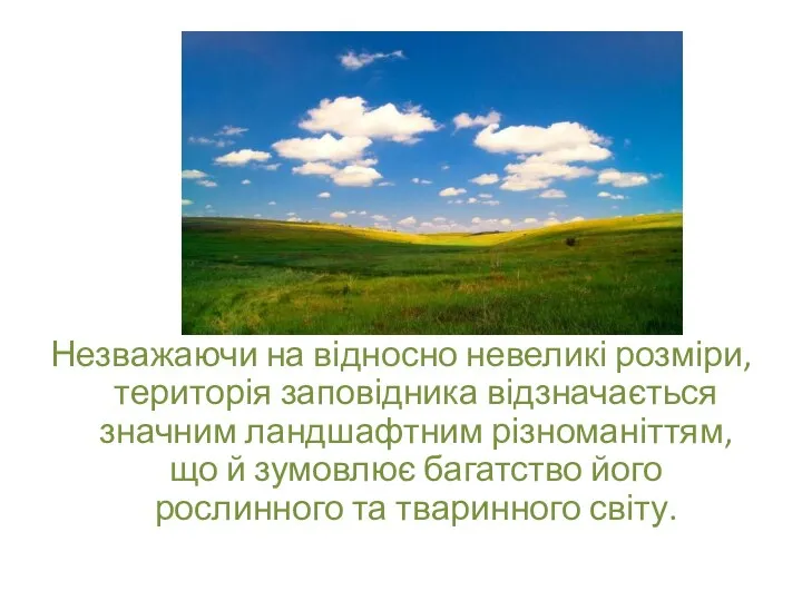 Незважаючи на відносно невеликі розміри, територія заповідника відзначається значним ландшафтним різноманіттям,