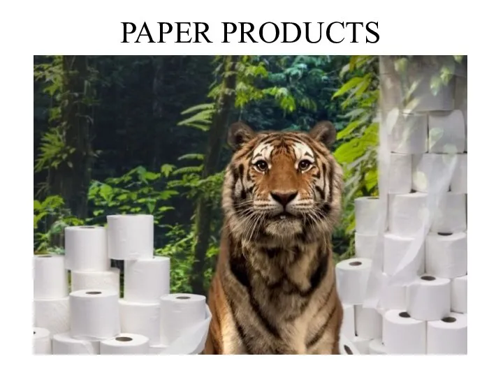 PAPER PRODUCTS