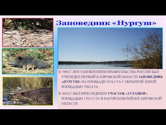 В 1994 Г. ПОСТАНОВЛЕНИЕМ ПРАВИТЕЛЬСТВА РОССИИ БЫЛ УЧРЕЖДЕН ПЕРВЫЙ В КИРОВСКОЙ